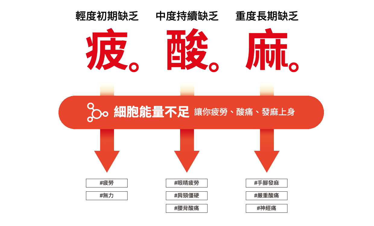 細胞能量不足，讓你疲、酸、麻上身